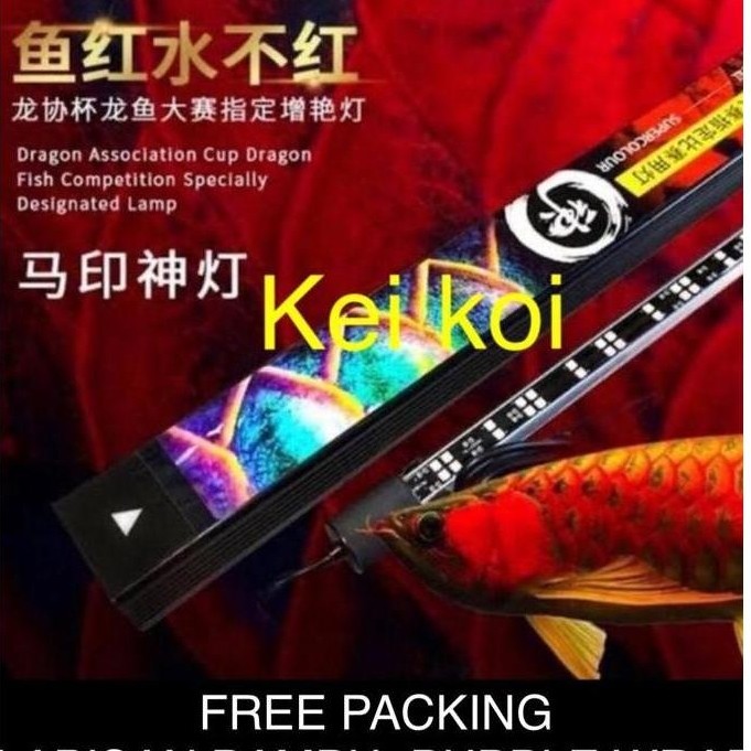 TERLARIS MAYIN LAMPU LED VIEW 52 CM AQUARIUM IKAN AROWANA / ARWANA