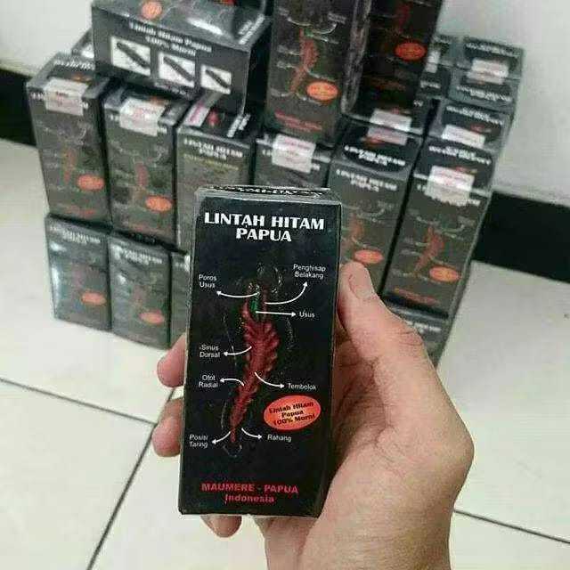 READY STOCK  PRIVASI AMAN PRIVASI AMAN Minyak Lintah Hitam Asli Papua Original