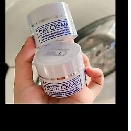 Krim Siang Dan Malam Msi