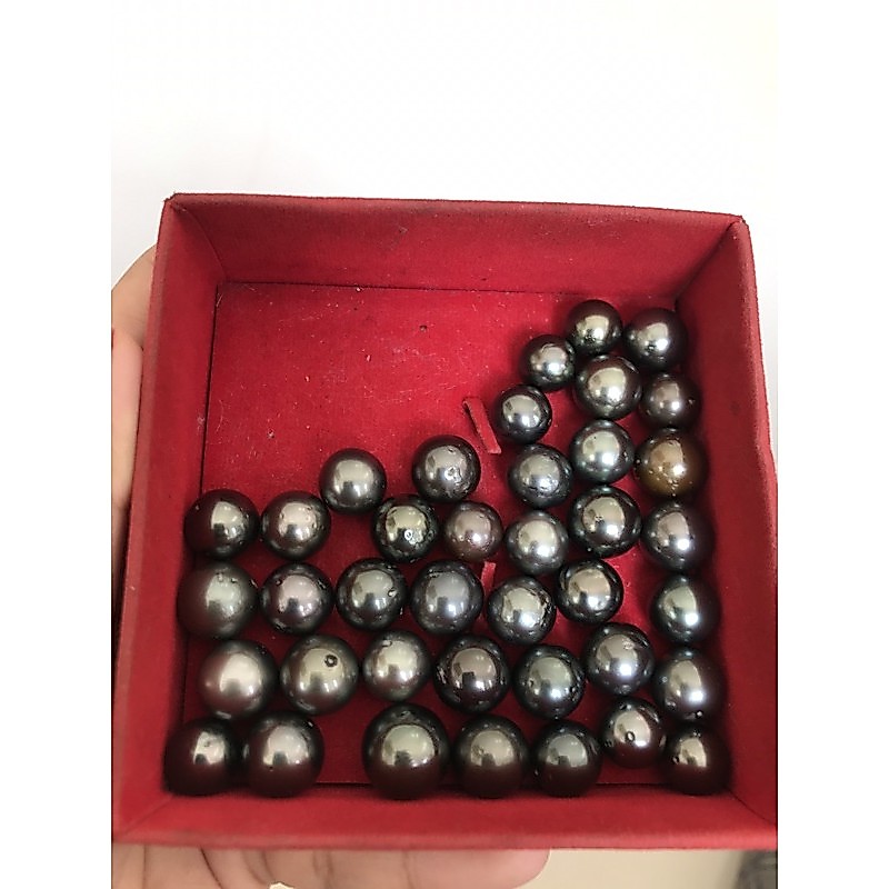 Butiran mutiara laut hitam
