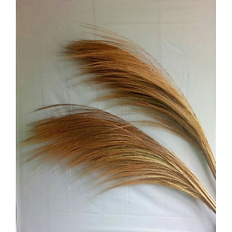 Grosir Rayung | Pampas Coklat | dekorasi Rustic