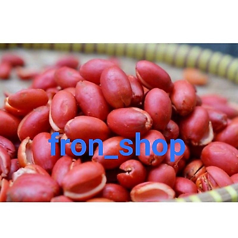 KULIT MELINJO SUPER |  MELINJO MERAH MERONA SEGAR (PROMO)