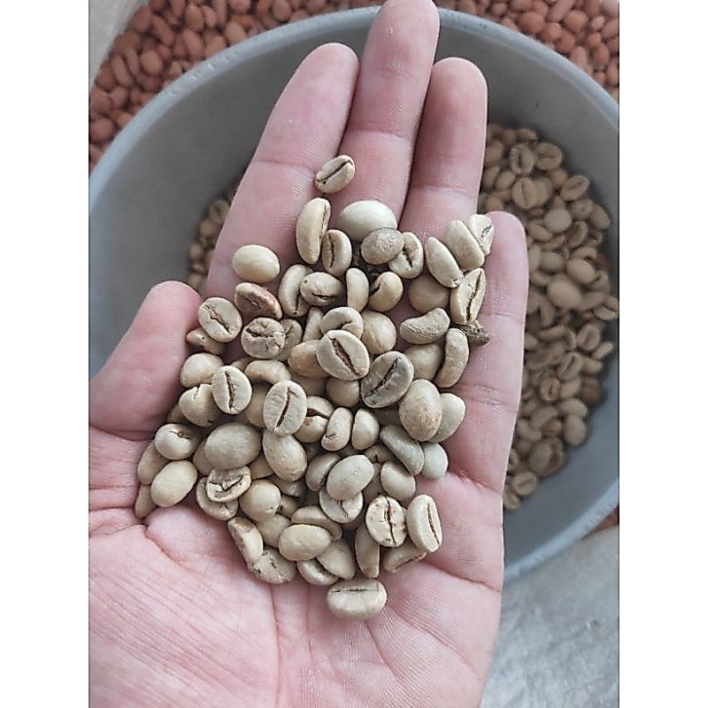 KOPI ROBUSTA PUTIH ASAL DAMPIT 1 KG GRADE 1