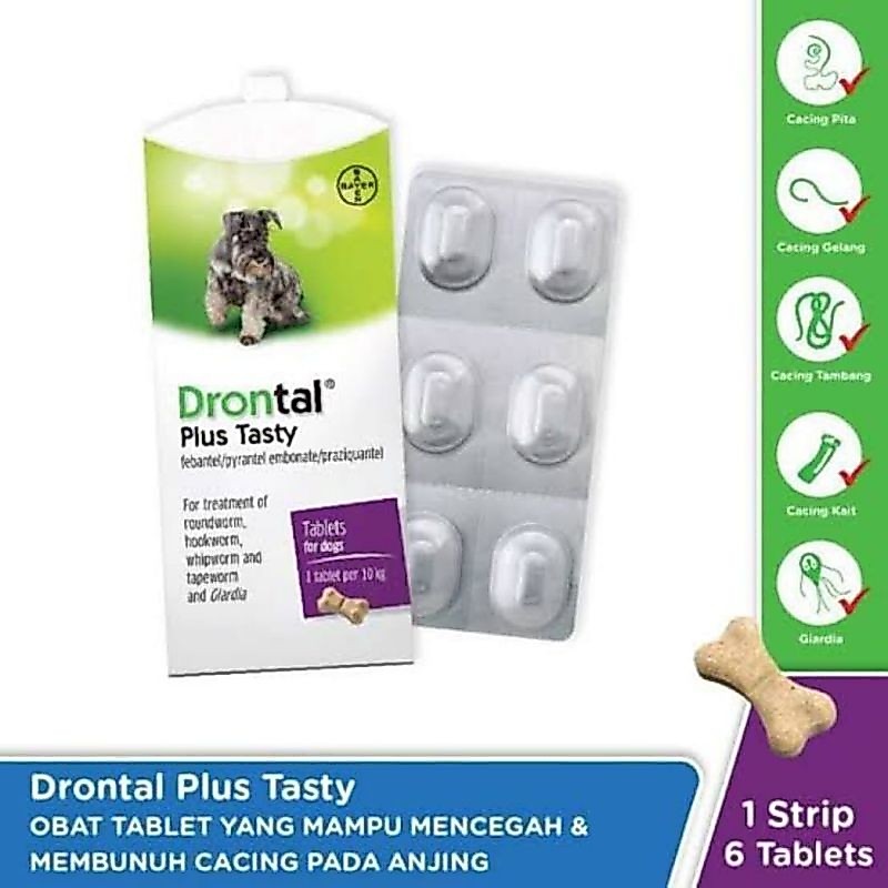 OBAT CACING ANJING OBAT CACING PUPPY OBAT CACINGAN ANJING OBAT CACINGAN PUPPY OBAT CACING HEWAN