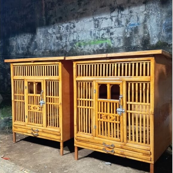 kandang box ayam