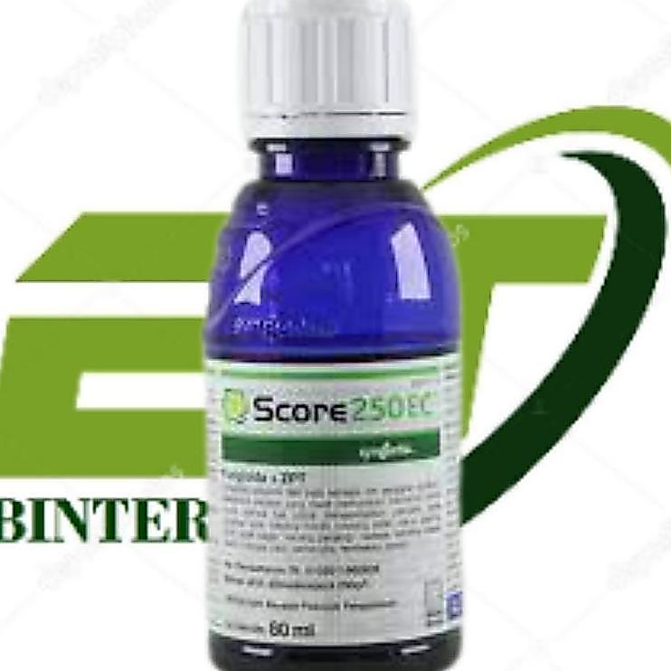 Score 80 Ml