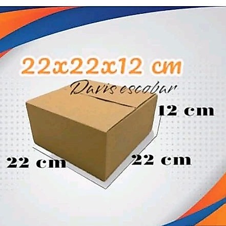 Kardus box packing 22x22x12 cm