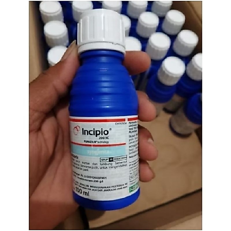 Incipio 100ml