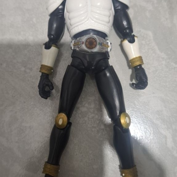 Shf kuuga growing