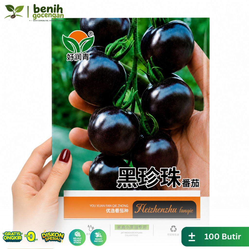 Benih Gocengan Tomat Hitam Impor 100 Butir | Benih Tomat Unik Premium