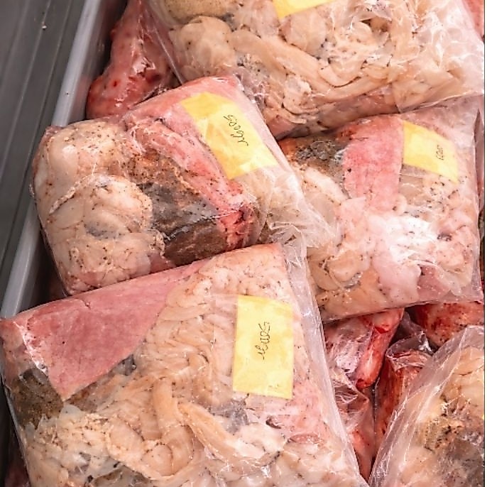 Jeroan kambing