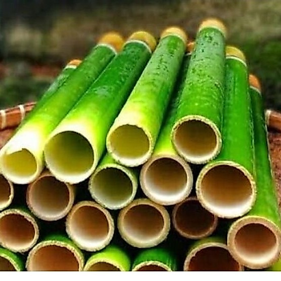 bambu buluh bambu lemang