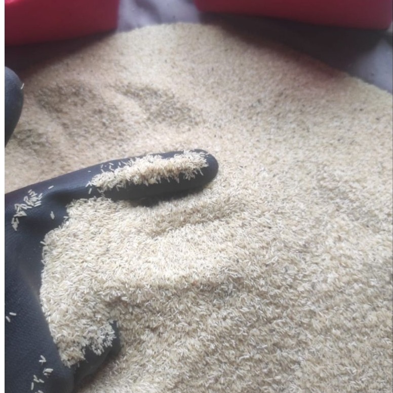 Sut telur jangkrik madu kunyit 400gr untuk budidaya jangkrik
