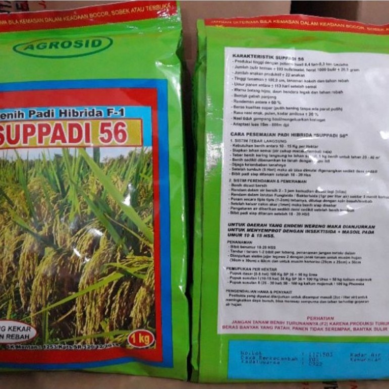 5 KG Benih Padi Hibrida Suppadi 56 - Hasil Tinggi, Tahan Rebah, Kualitas Super