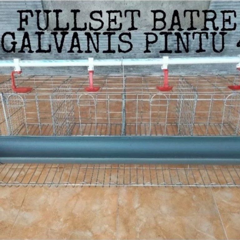 KANDANG BATRE GALVANIS AYAM DAN BEBEK PETELUR FULLSET 4 PINTU