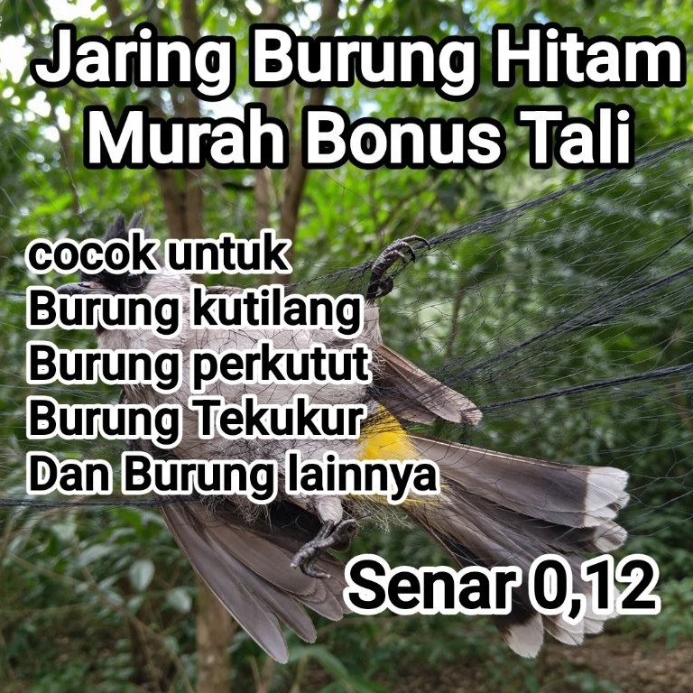 Jaring Burung Hitam Murah Bonus Tali Cocok untuk Kutilang Perkutut Kolobri dan Burung Lainnya Lubang