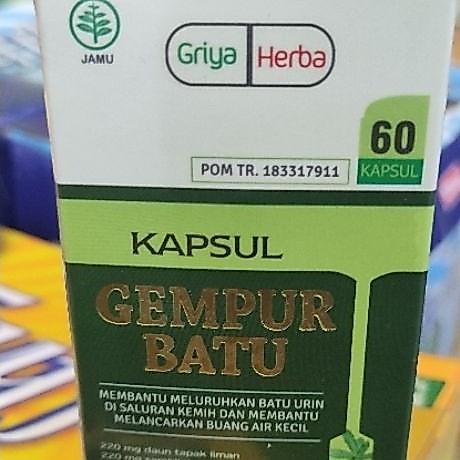 gempur batu ginjal