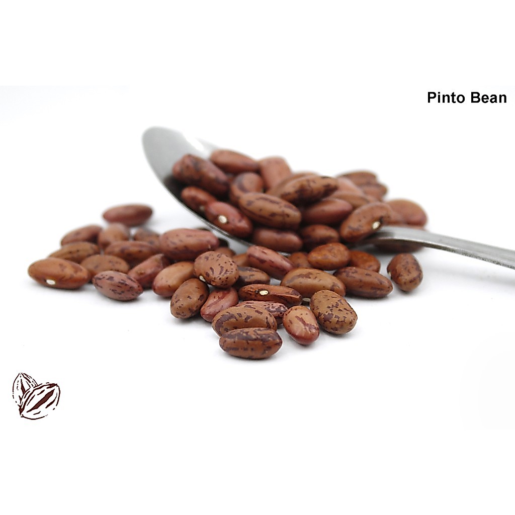 Pinto Beans Kacang Pinto 500g