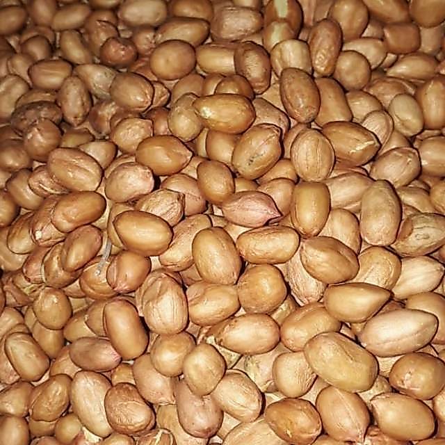 Kacang Tanah dan giling