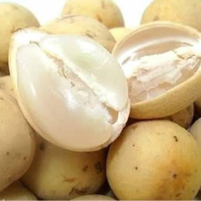 Buah Duku Palembang duku super 1 kg