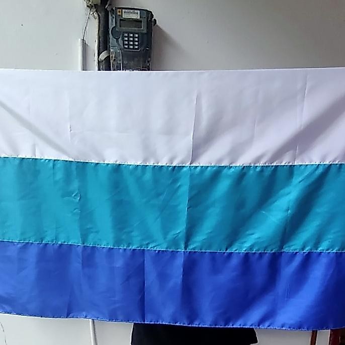 ~~~] Bendera XTC