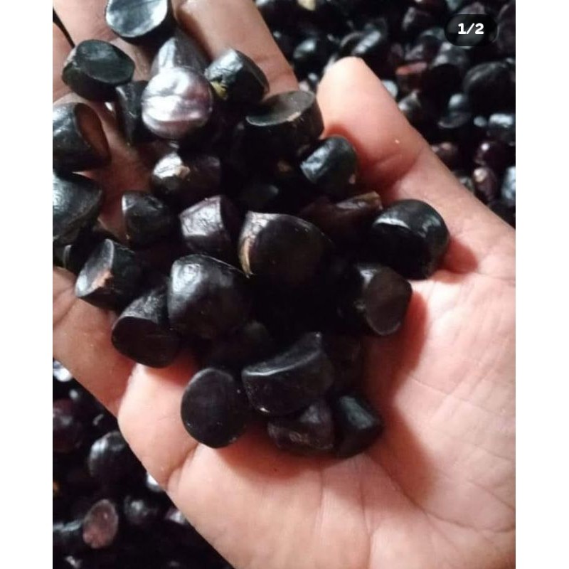 BISA COD 500 GR KABAU JOLANG JALING PALEMBANG