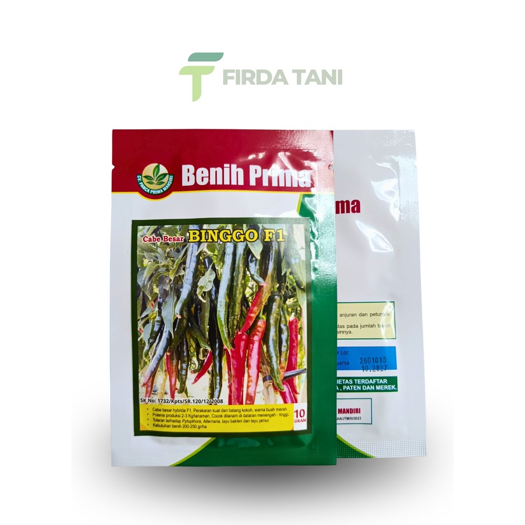 Benih Prima Binggo F1 10gr Cabe Besar – Akar Kuat & Produktivitas Tinggi