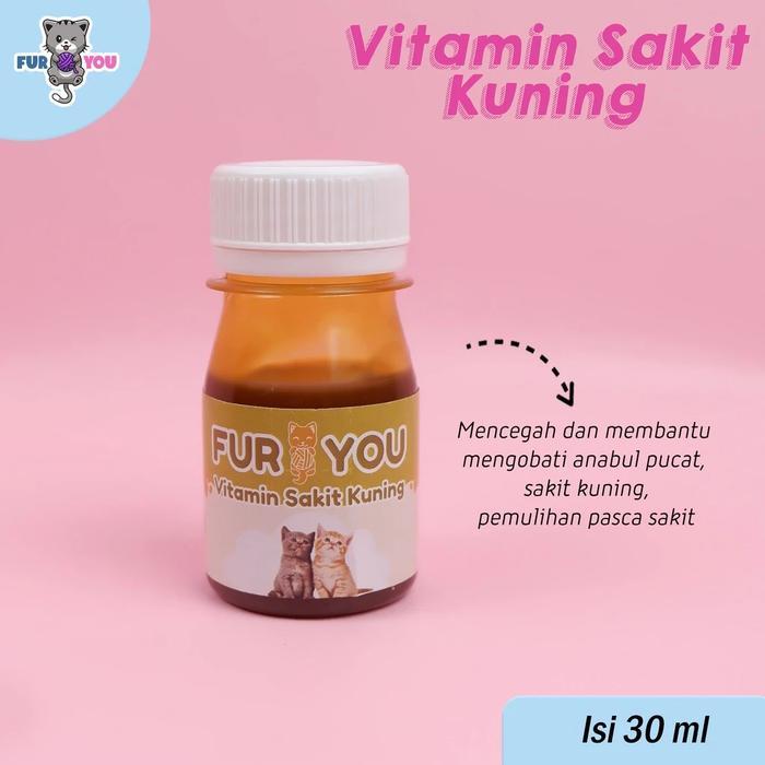 Vitamin untuk Anabul Sakit Kuning kucing