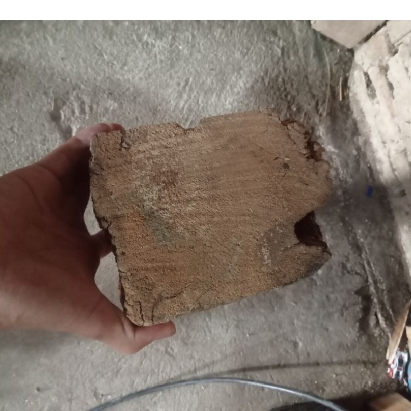 kayu ringin sepoh panembahan senopati