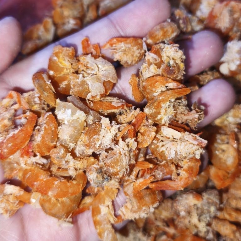 Ebi daging sedikit asin/ebi daging Singkawang