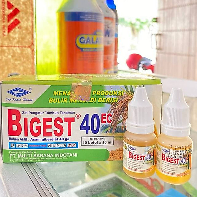 BIGEST 10 ML ZAT PENGATUR TUMBUH / BIGEST 10ML ZPT ORIGINAL