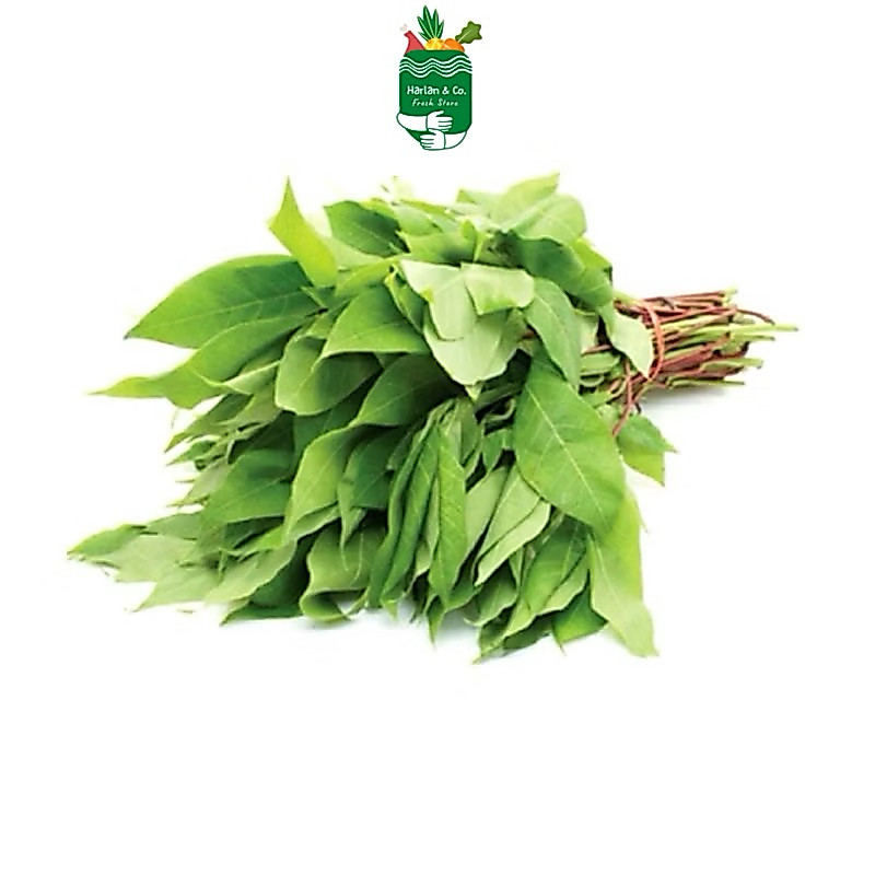 daun singkong segar