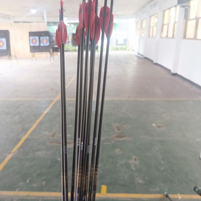 arrow easton x10 protour second