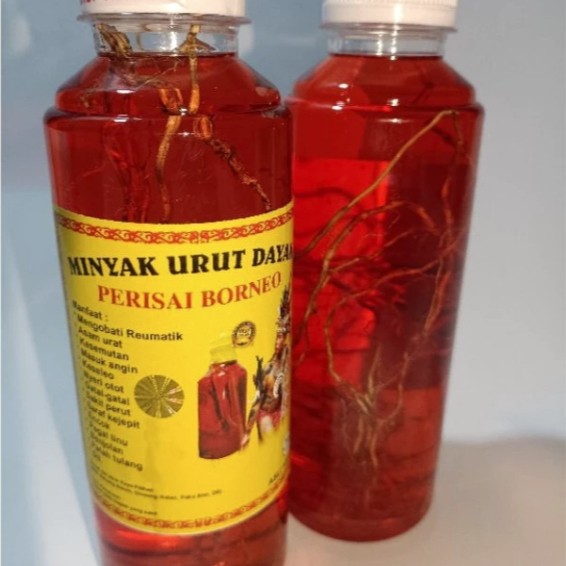 inyak Urut Dayak Perisai Borneo 250 Ml Herbal