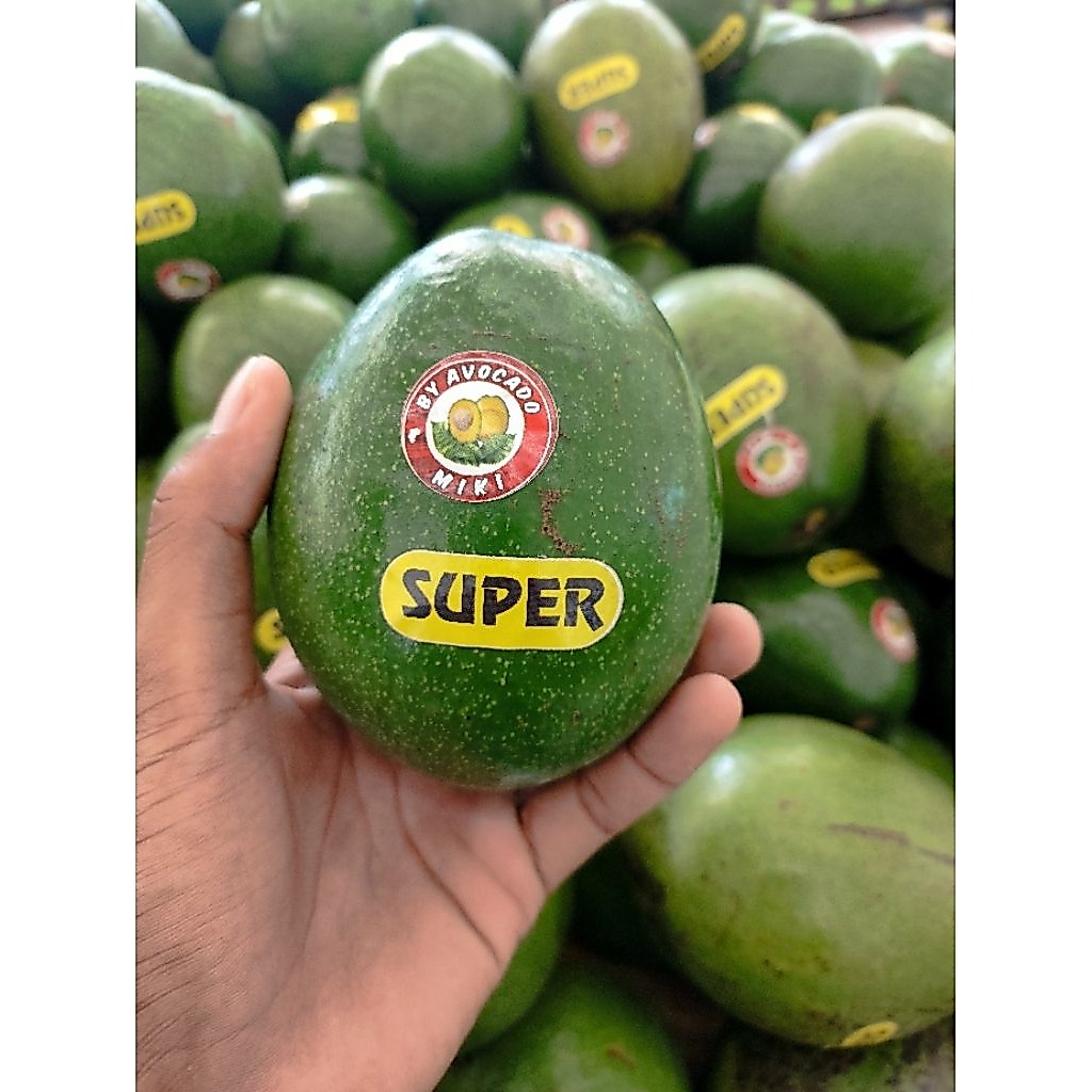 buah alpukat miki super pulen alpukat miki 1kg