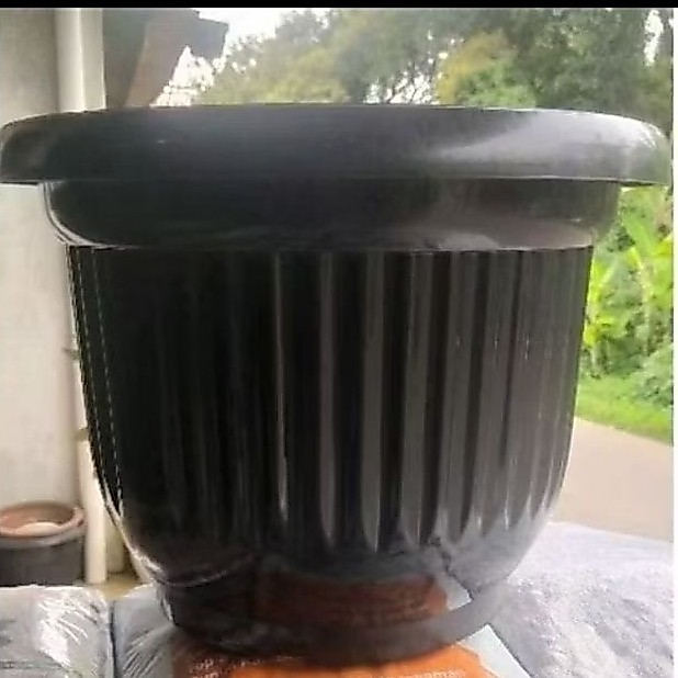 Murah pot besar-50 cm/pot globalion ukuran 50