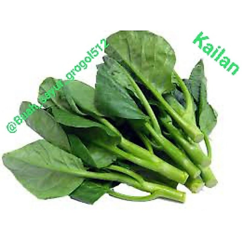Sayur Baby kailan  / daun kailan /sayur kailan _ 250gr