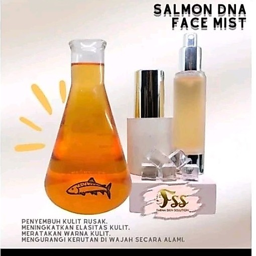 FACE MIST DNA SALMON LITERAN