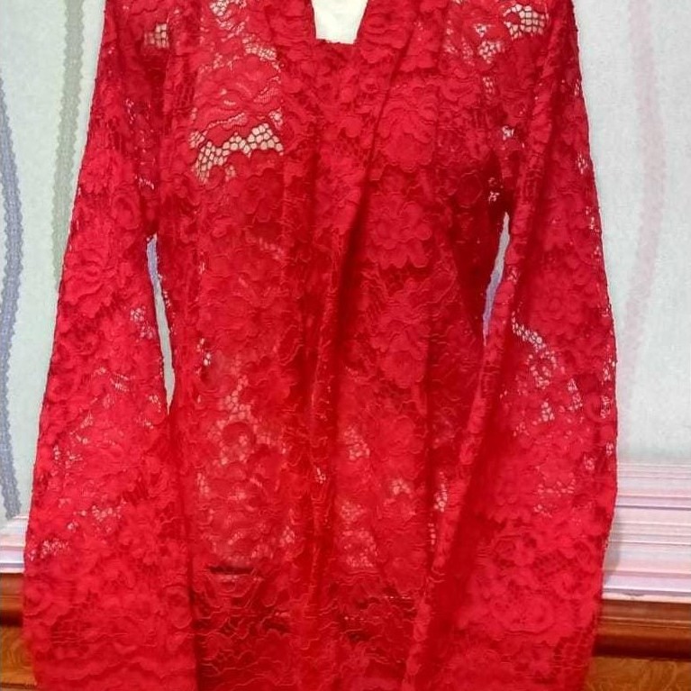 Exclusive Kebaya Jumbo Modern Kebaya Brukat Bali Atasan Kebaya Brukat Kebaya Bali Kutu Baru Murah