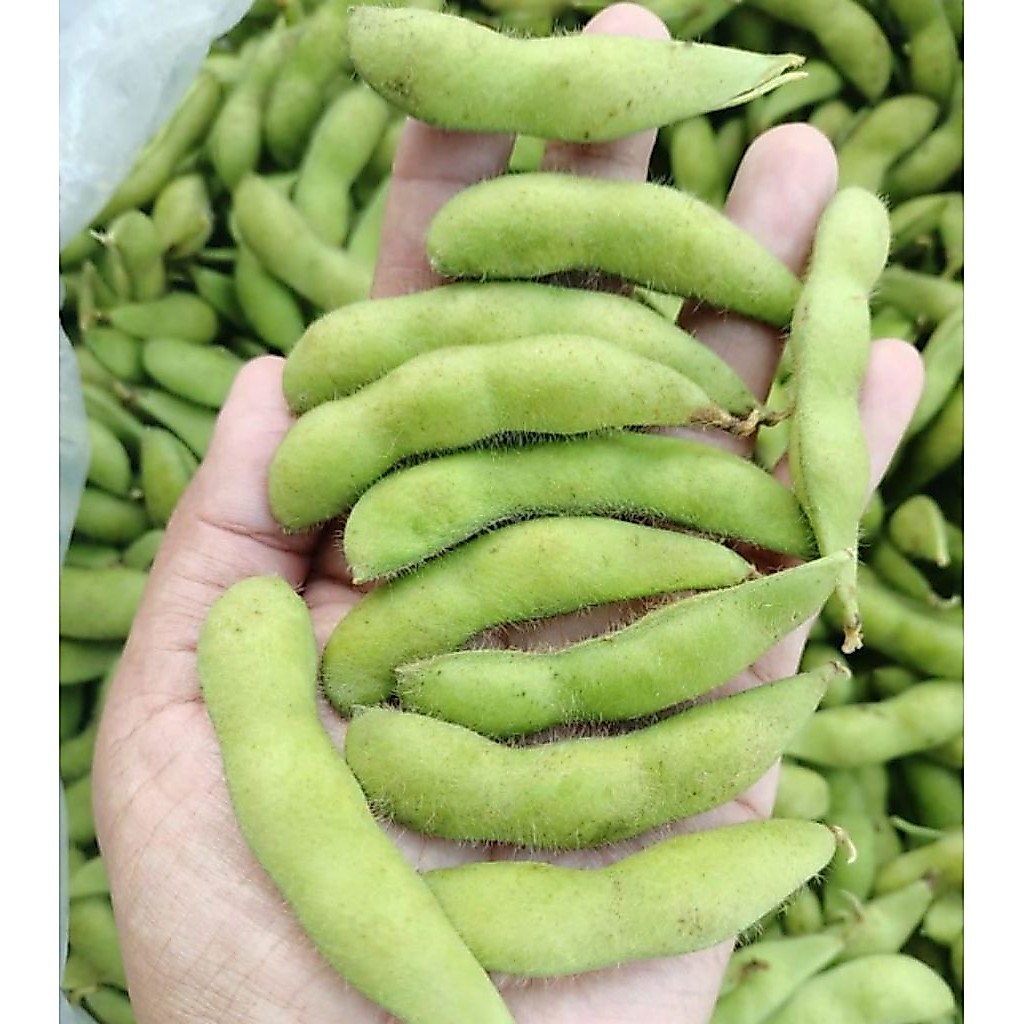 edamame 1kg, fresh