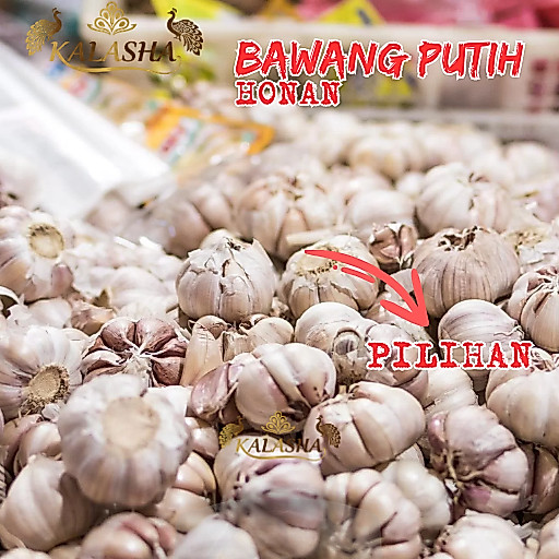 Bawang Putih Sinco / Bawang Putih Honan Sinco Bersih