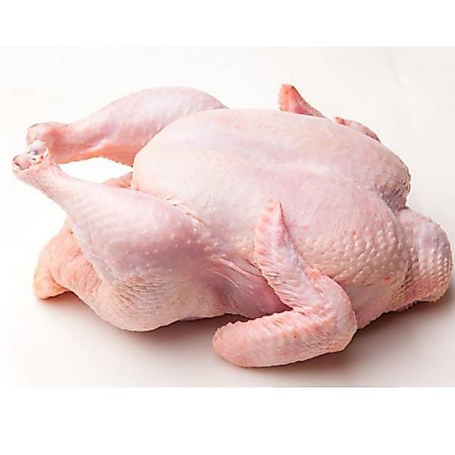 Ayam potong/ boiler