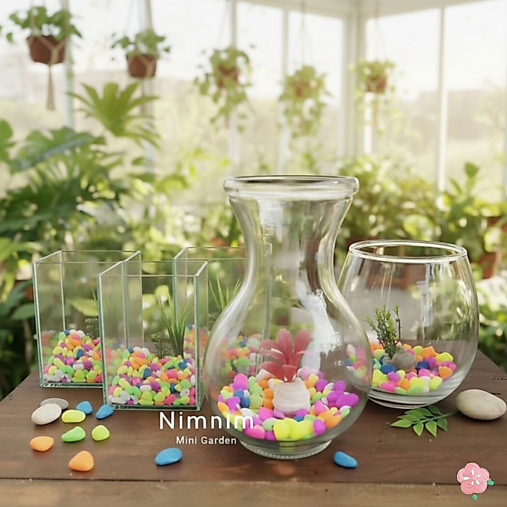 Paket Soliter tank Botol cupang Aquarium mini