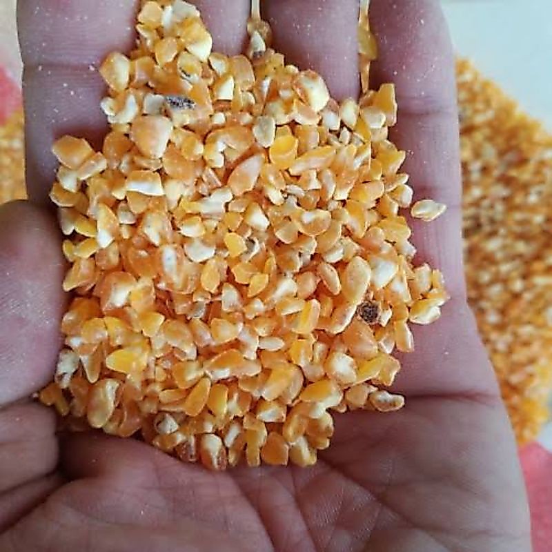 Jagung pecah/ jagung giling pakan ayam/ Jagung pecah agak kasar/ Jagung giling makanan ayam/ jagung 