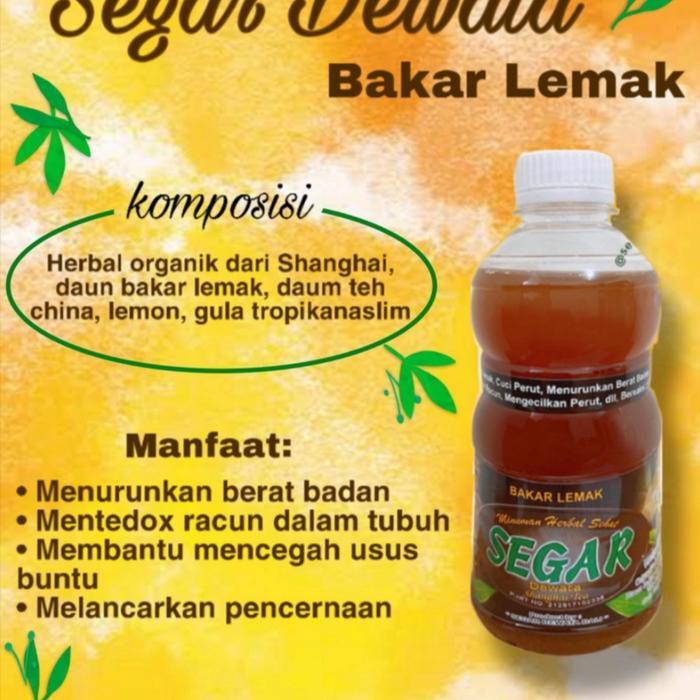 jamu segar dewata (shanghai tea) jamu herbal pelangsing bakar lemak