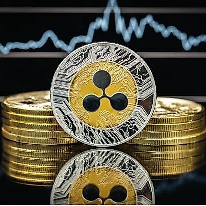 GROSIR Coin Koin Fisik Crypto Seni Doge Ethereum Shiba Ripple Bitcoin Binance