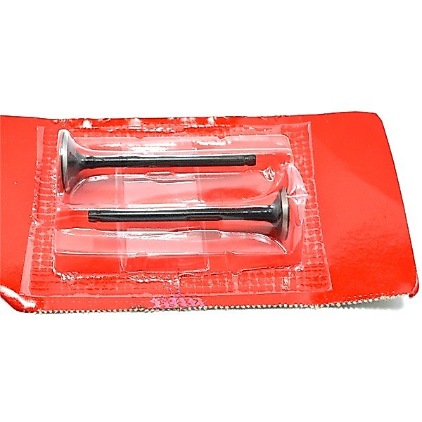 Valve Set (Klep Set) – Blade Karbu & Revo 110