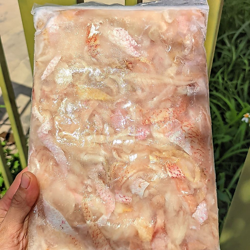 TETELAN IKAN KAKAP MERAH MURAH 1 KG