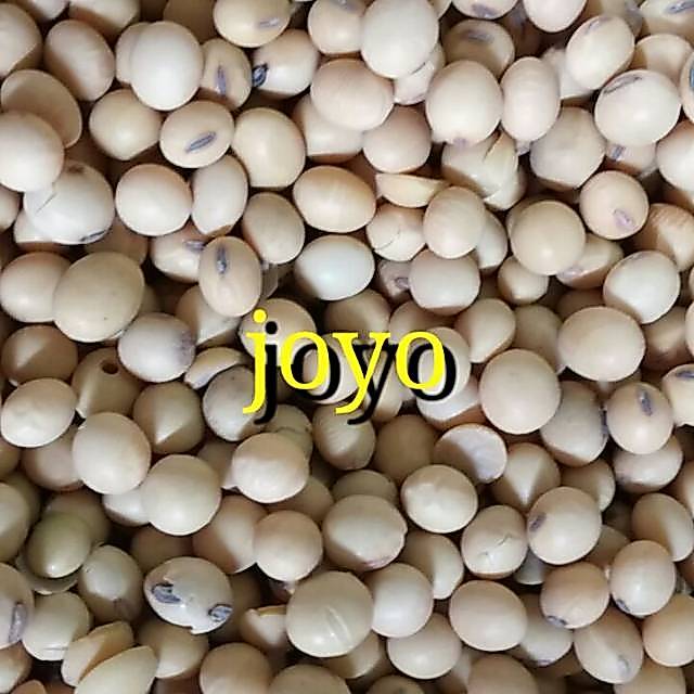 Kacang Kedelai import amerika 1 kg