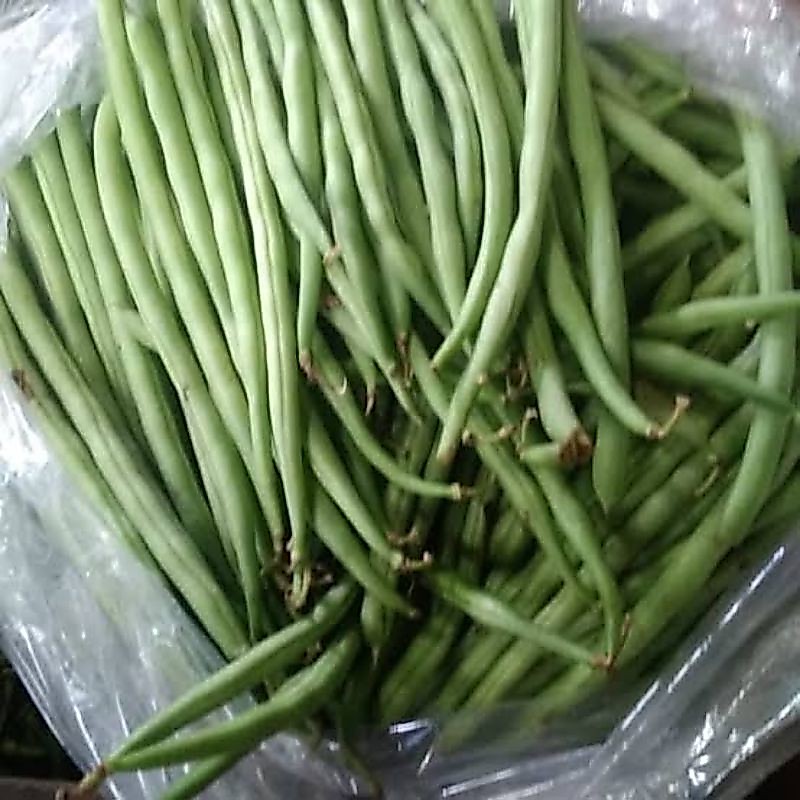 Buncis / 1 kg